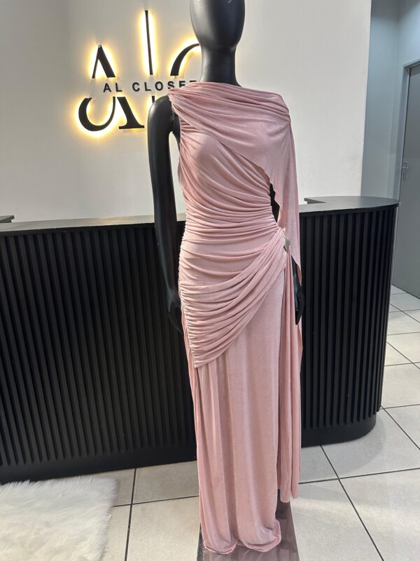 Shelly Pink Dress