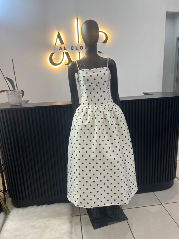 Lania Polka Dot Dress