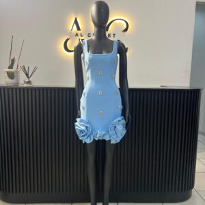 Railey Baby Blue Dress